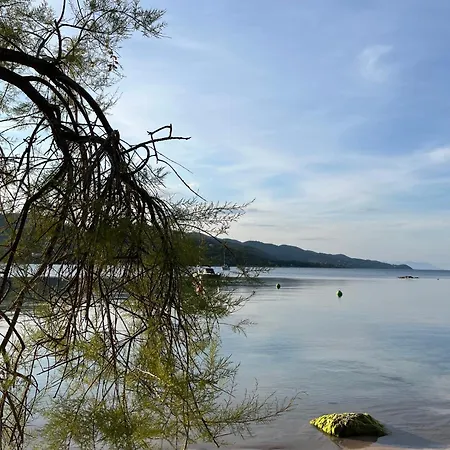 Сasa de vacaciones Mini-villa Lisa 30 Avec Piscine Acces A Pied Sari-Solenzara