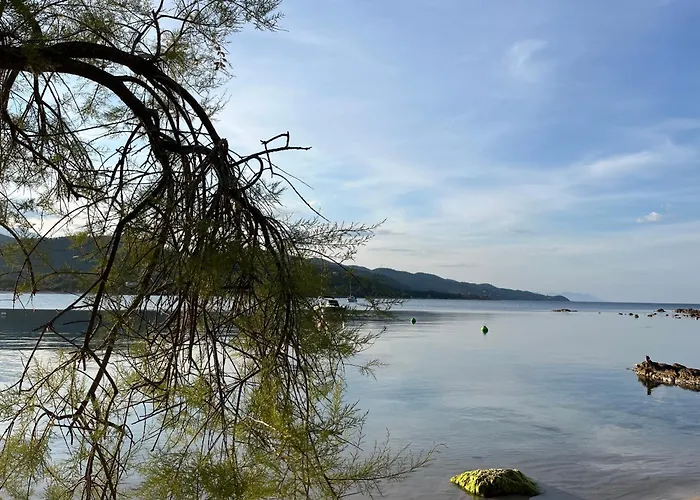 Сasa de vacaciones Mini-villa Lisa 30 Avec Piscine Acces A Pied Sari-Solenzara